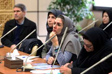 کارگاه آموزشی سامانه نوپا